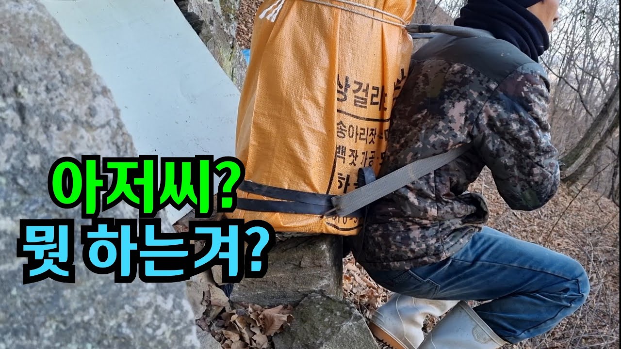 깊은산속 토종벌통 옴기는방법,설통 이동하기,