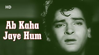 Ab Kaha Jaye Hum  Ujala 1959   Shammi Kapoor Mala Sinha  Old Hindi Song