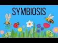 Symbiotic Relationships in Nature: Mutualism, Commensalism, and Parasitism