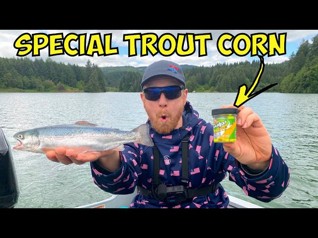 Trout Fishing with SPECIAL CORN! 