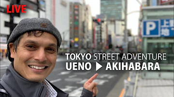 Tokyo Street Adventure | Ueno to Akihabara via Ameyoko Market