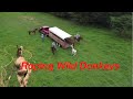 Rescuing wild donkeys roping cowboys broncs and donks donkeys
