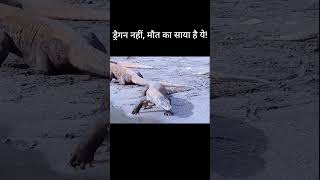 भागो! कोमोडो ड्रैगन आ गया 😱 | Real Survival Tips #animals
