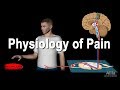 Physiology of Pain, Animation.