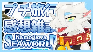 【 雑談配信】鴨川シーワルドに行ってきた！みんなでかもしーおもいでがたりしよう🐸【ケモノ系新人Vtuber/とのおたま】#雑談 #zatsu