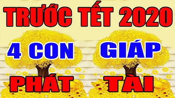 TRƯỚC TẾT 2020, 4 Con Giáp Trúng Số Liên Tiếp,  Đổi Đời Tiền Tiêu 3 Đời Không Hết