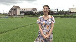 町広報番組「しまもとプラザ」平成27年8月1日号