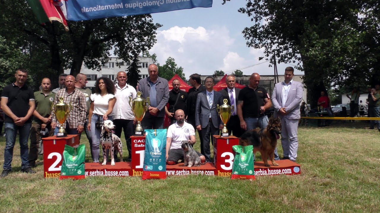 15 CACIB ŠABAC 2022