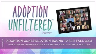 Details Ep 21: Adoption Constellation Round Table: What is hard about adoption Update