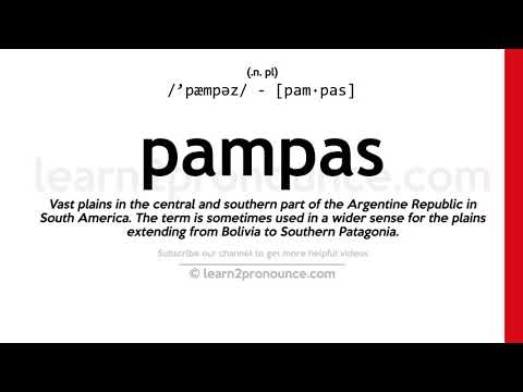 Prononciation pampa | Définition de Pampas