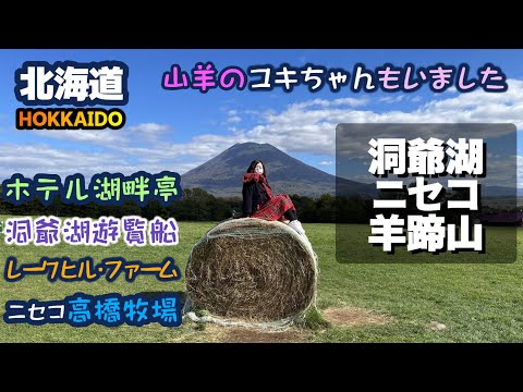 【洞爺湖ニセコ】洞爺湖からニセコまでをのんびり旅しました。洞爺湖では観光遊覧船に乗り、花火大会も見ることが出来ました。ニセコでは羊蹄山が綺麗に見える牧場で遊びました。