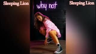 Why Not || Sleeping Lion || Lyrics