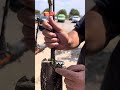 על עץ פינגר ליים כבר שמעתם לימון קוויאר פרי מפתיע במיוחד על עץ פינגר ליים כבר שמעתם לימון קוויאר פרי מפתיע במיוחד