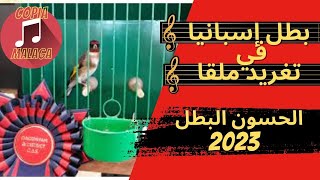 شريط لأحسن حسون في إسبانيا 2023 cd mixto de# jilguero#