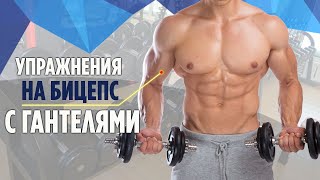 Лучшие Упражнения на Бицепс с Гантелями.