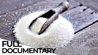 The Sugar Lobby: How The Industry Hides The Real Harm Caused By Sugar | ENDEVR Documentary