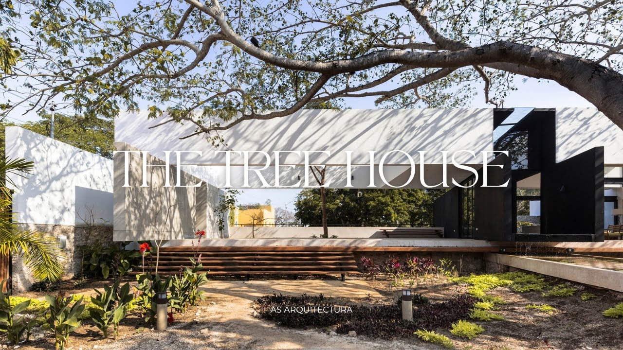 Archdaily Modern Tree House Modern House Design Nestled Amidst A Lush,