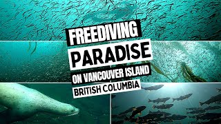 Freediving Vancouver Island (Top Moments)