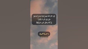 سورة التوبة الآية ١١٤ و ١١٥ بصوت الشيخ محمد صديق المنشاوي