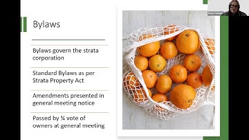 Proline Academy – Beyond Bylaws