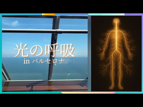 Happyちゃん - YouTube
