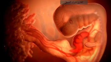 تلاوة رائعة (سورة الشمس) ☀️بصوت القارئ ضياء الصمل ✨