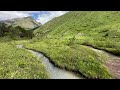 Relaxing sounds of nature in a mountain reserve  bird sounds for sleep and relaxation