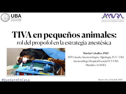 TIVA en pequeños animales por Martín Ceballos