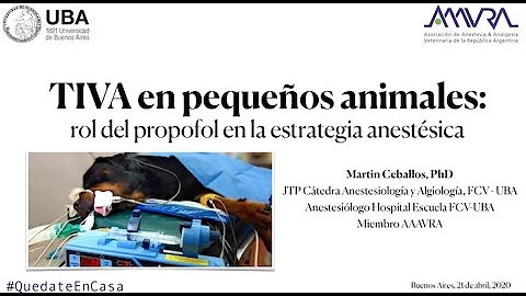 TIVA en pequeos animales por Martn Ceballos