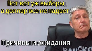 Выборы уже вот-вот, а доллар все не падает. Причины и ожидания