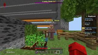 vertical up elevator cubecraft skyblock screenshot 5