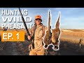 Chasing Wild Birds and Bad Shooting | Pheasant Hunting Texas EP. 1