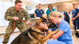 Full SEAL HANDLER Mocked a NURSE TECH — “HE BITES!” Then Her MILITARY Skill Saved AXEL Guide