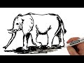  how to draw an elephant easy  drawing on a whiteboard