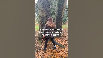 When it comes to your pet’s safety, why settle for less?⁠