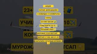 КАРШИ ДОМОДЕДОВО АВИАБИЛЕТЛАР НАРХЛАРИ НОЯБРЯ ОЙИ 2025. УЗБЕКИСТАН РОССИЯ АВИАБИЛЕТЛАР НАРХЛАРИ 2025