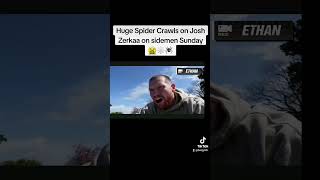 HUGE SPIDER CRAWLS ON JOSH ZERKAA ON SIDEMEN SUNDAY 🤮🕷
