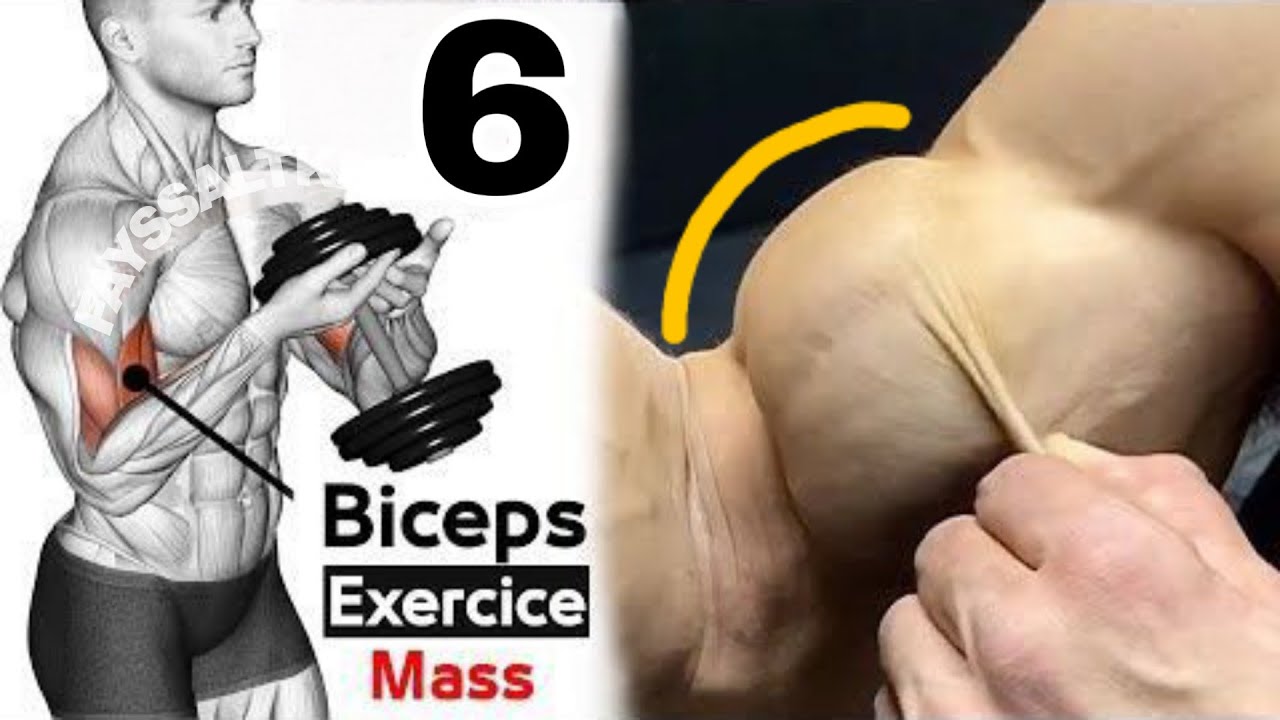 Ultimate Biceps Workout: Sculpt Your Arms Like Never Before! - YouTube