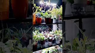 Новая подсветка