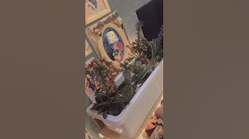 CÁCH SETUP HỒ RÙA FREE …!? | Ane Khánh 🐢🐢