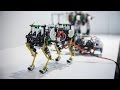 Awesome BioRobots Inspired by Animal Movements!