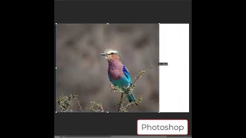Photoshop Content Aware Scale