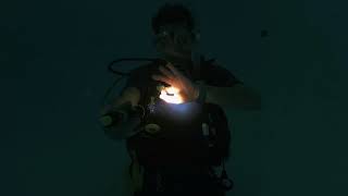 Communicating at Night while Diving