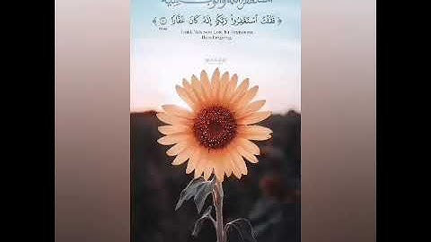 👤القارئ : عبدالعزيز الزهراني⏱05:59 د 📖القصص 1⇦16 #اكلات_بسيطة_مع_شيمو