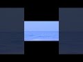 ocean of silence #ambientmusic #textural #deepambient #calmvibes #ambientrelax