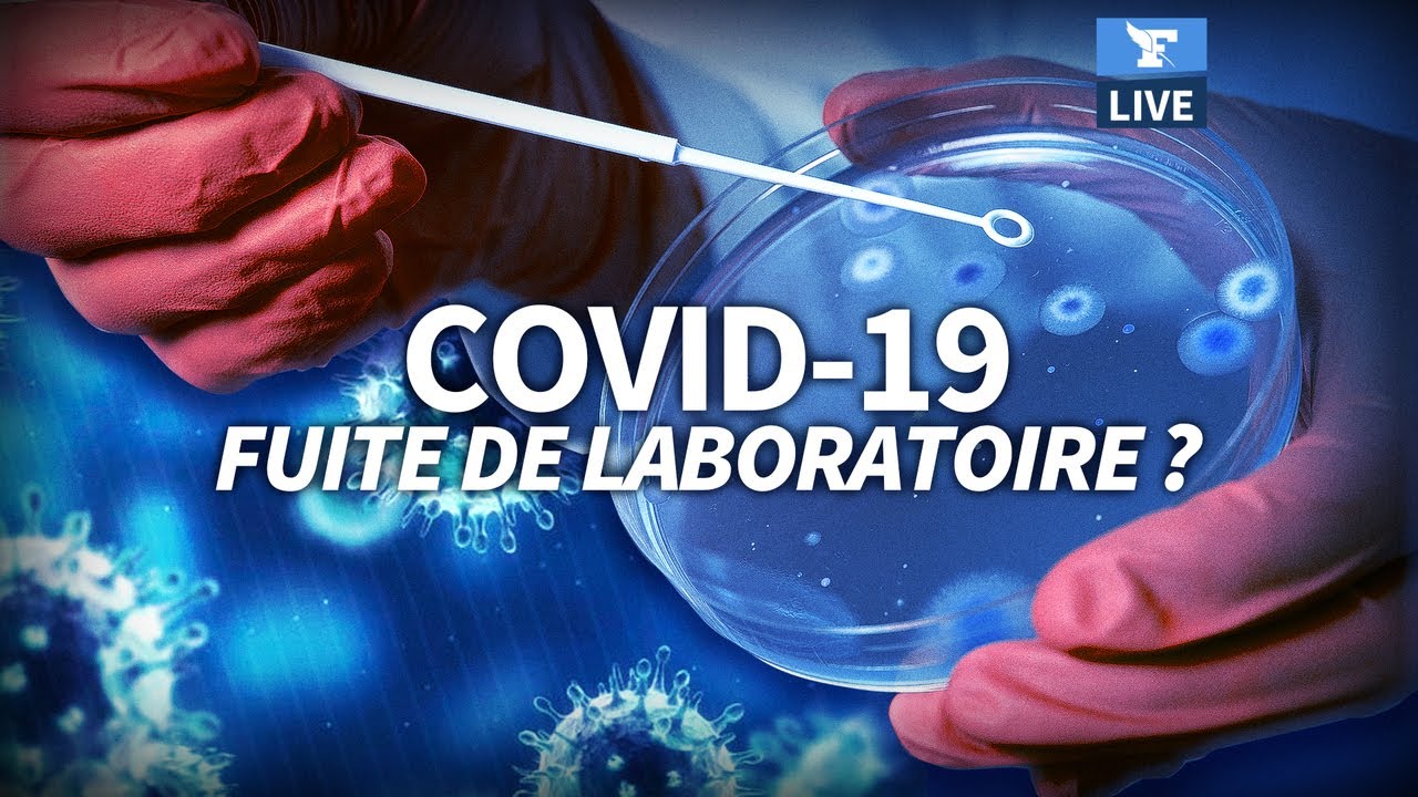 🔬Le virus du Covid-19 s’est-il ÉCHAPPÉ d’un laboratoire?