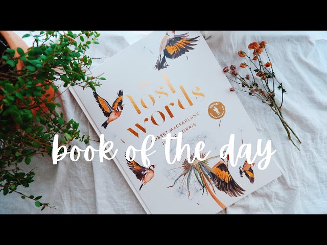 洋書 The Lost Words Robert Macfarlane sddefault.jpg