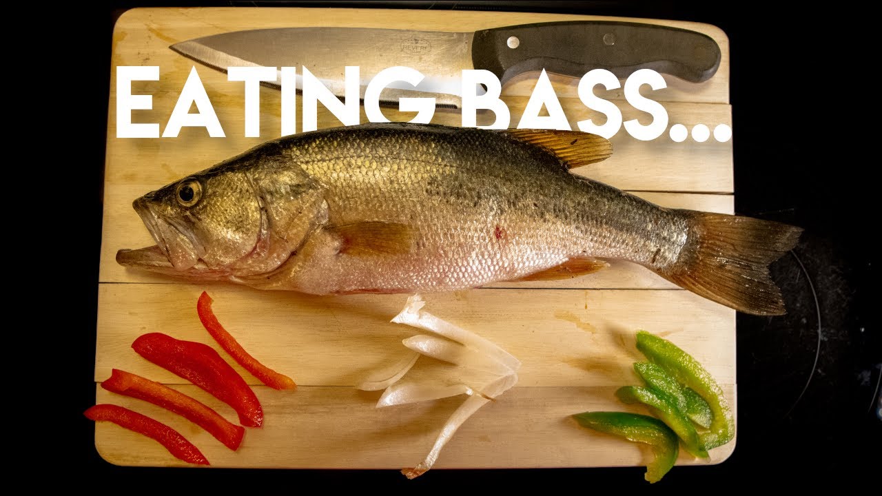 Largemouth BASS CATCH and COOK- First time EATING BASS - YouTube