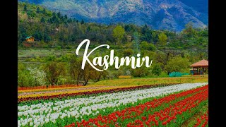 No copyright youtube background music popular || with beautiful jammu kashmir pictures || screenshot 2