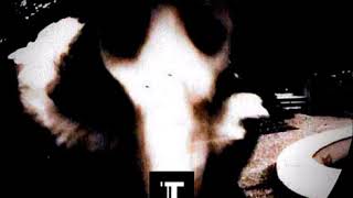 Proceed - Drafted [TAR17]
